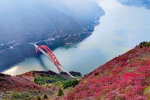 【徒步三峡巅5天】2026秋五天四晚翻山越岭，只为长江三峡最浓烈的红