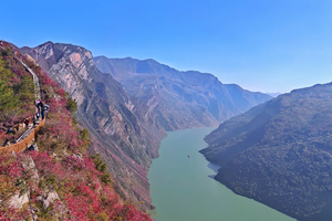 【徒步三峡巅5天】2026秋五天四晚翻山越岭，只为长江三峡最浓烈的红