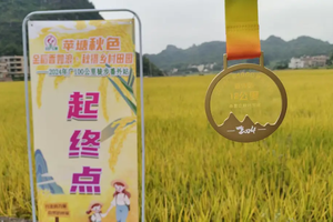 【广100第四站·穿越苹塘1天】10月25日金秋行走罗定美丽田园：稻田峰林15KM徒步活动