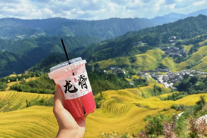 【龙脊动车3天】10月秋色龙脊纯玩高铁3天游（天天发团）