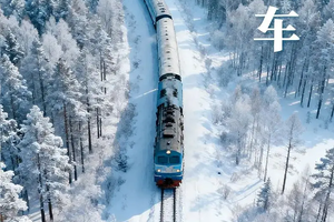 2026雪国列车SUV小团丨深度纯玩5天4晚丨登上北国列车，相遇“北极”