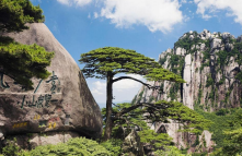 【秋游黄山-皖美徽州】  登仙境黄山、游水墨宏村、夜赏非遗鱼灯、独占鳌头鱼灯-唐模古村、寻味屯溪老街、徽派晒秋阳产土楼、走进徽州
