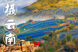 【行摄云南7天】2026春节罗平油菜花海、抚仙湖、建水古城、碧色寨、普者黑、元阳梯田7天摄影之旅