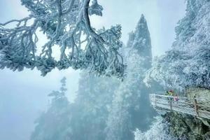 【新春郴州高铁四天】泡98度汝城温泉+赏莽山五指峰雾凇云海+九龙水寨竹筏+高椅岭+沙洲村