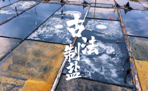 11.1 周六【打卡茶盐湖惠州分湖】盐洲岛坐船出海捕鱼，绝美海上日落，体验古法制盐，美拍彩