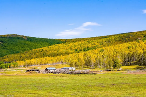 9月内蒙呼伦贝尔大合集（或长按）图片二维码，识别后进入查看活动详情！报名咨询请加珊瑚微信：13543301267