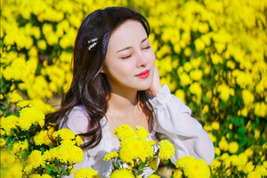 【小榄菊花展】12月7日一年一度中山小榄菊花展、小榄康公屿、门前创意园，品尝中山特色美食1日游 特价：78起