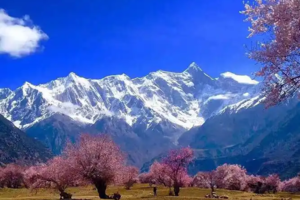 【大美川藏·10日】冰雪包裹林芝桃花+金川梨花+毕棚沟+甲居藏寨+墨石公园+然乌湖+米堆冰川+南迦巴瓦峰+索松村/雅鲁藏