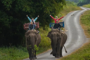 【印象老挝】滇老传奇 动车直达老挝琅勃拉邦首都万象 万荣户外天堂7天6晚（2-12人精品团 西双版纳集合&万象解散）