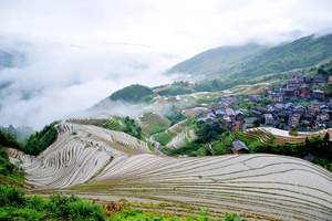 【桂林龙脊3天】2026端午龙脊梯田+桂林山水 高铁3天（报名交定金1000元，尾款集合后交给领队）