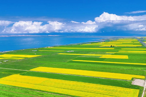 【全景青甘】2025玩遍海西+青甘大环线，黑独山，青海湖，茶卡盐湖，大柴旦翡翠湖，翡翠湖，艾肯泉，莫高窟，七彩丹霞八天