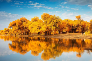 【金秋南疆9天】喀什 莎车老城 芦苇荡 盘龙古道 塔里木胡杨林 温宿大峡谷 塔哈漫湿地 穿越塔克拉玛干沙漠 走进帕米尔9