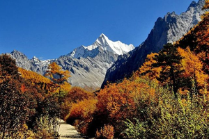 【金秋川西线路汇总】稻城亚丁、九寨、党岭、光雾山、色达....