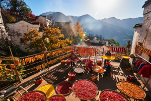 5.1-5.4【黄山+婺源】安徽黄山登天都峰+婺源篁岭，水墨宏村，赣州古城。