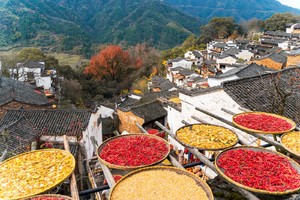婺望三清望仙谷·三清山·篁岭4日游(报名交定金1500元）