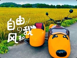 【醉美稻田】11.1周六，中山崖口村，休闲游玩一日游，孙文步行街，中山博物馆 石岐乳鸽美食