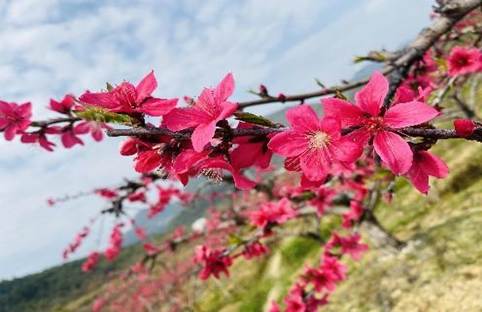 e68addba55775bfd3a0e758e7e971ed