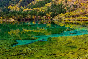 【安逸四川7天】10月1-7日峨媚山，九寨沟，黄龙，乐山大佛，四姑娘山，都江堰纯玩7日游（2-8人小团，早鸟报名优惠多多！）