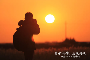 2026【行摄胡杨林】银川集合| 额济纳胡杨+镇北堡影视城+西夏陵+五湖连穿+腾格里沙漠6日活动