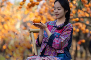 【恭城柿子节2天】10月25-26日相约千年黄姚古镇+恭城红岩村柿子红2日游