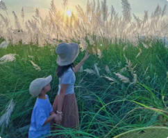 【新线】11月1日美拍清远江边千亩芦苇花盛开+广东小三峡—飞来峡古栈道，尝北江美味河鲜~ 特价：88元起