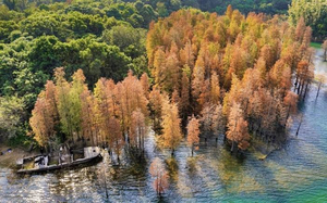 12.21周日【中山小九寨】中山五桂山走进神秘的西坑尾，邂逅最美水杉林