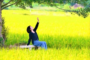 【从化新丰2天】周六-周日千亩柿子海、艾米稻香小镇，岭南红叶世界赏枫、天空之境美拍、高山茶园、入住温泉酒店浸泡真温泉二天