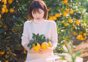 【秋韵赣州】11月8-9日相约江西安远三百山秋色·龙南关西围屋风情·赣南摘脐橙纯玩2日之旅