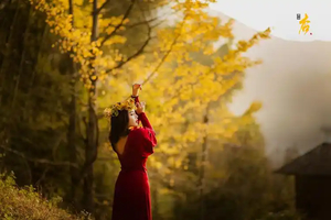 【南雄银杏】2025打卡广东小九寨南雄帽子峰银杏世界摄影拍照、四大名寺之首南华寺祈福、马坝人遗址、泡十佳优质温矿泉2天