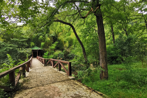 11.30周日【古溪线】79起，新手入门路线，感受最美乡村小径，古村烟火集市