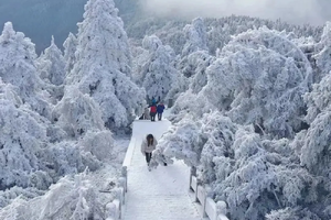 【衡阳3天】湖南观雾凇祈福衡山高铁三日游（天天发团）