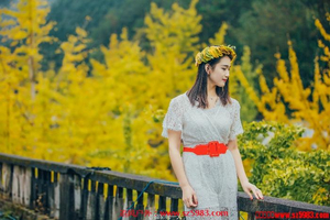 12.13-14 【南雄银杏】南雄帽子峰银杏，南华禅寺，含住宿送温泉。报名付定金