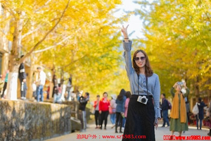 【南雄银杏】12.16-7南雄帽子峰银杏世界摄影拍照、四大名寺之首南华寺祈福、马坝人遗址、泡十佳优质温矿泉2天