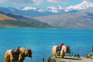 【西藏过大年】2026年春节相约西藏过大年 来一场心灵的旅行 轻奢7天6晚之旅