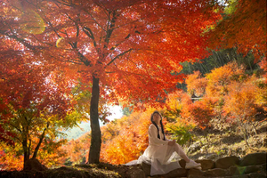 成团，12.6-7号【金秋桐子坳】峡谷枫叶林丨中国银杏第一村：漫步湘江万株枫叶林