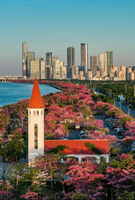 12.21周日【珠海横琴】85元起，打卡珠海横琴葡萄牙小镇，可登高遥望澳门，赏樱花木棉林