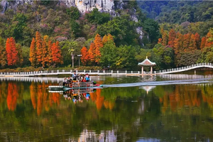 【湖光秋色】12.14周日，肇庆最美星湖绿道环湖徒步，赏落羽杉，七星岩里画秋色