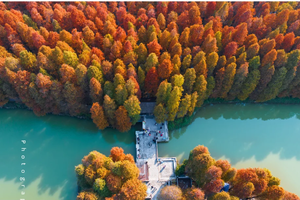 【湖光秋色】12.21周日，肇庆最美星湖绿道环湖徒步，赏落羽杉，七星岩里画秋色