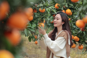 成团了，12.11周四【马鞍山+摘沃柑】博罗生态果园摘沃柑，马鞍山铁索攀岩、穿越瘦身一线天