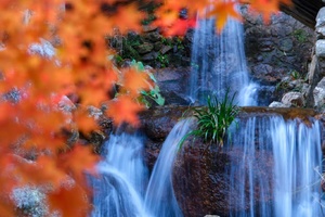 2026年春节省内2-5天活动：湛江，河源，南昆山，云浮梅花，阳江海陵岛，中山珠海，肇庆，佛山顺德等