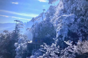 【郴州3天】2026春节郴州莽山邂逅冰雪雾凇、云海、东江湖、白廊游船、高椅岭、马皇丘大峡谷、瓦窑坪、裕后街三天