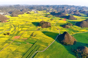 【行摄滇南】东川红土地｜元阳梯田｜罗平油菜花｜九龙瀑布｜弥勒东风韵｜建水古城｜抚仙湖7天6晚