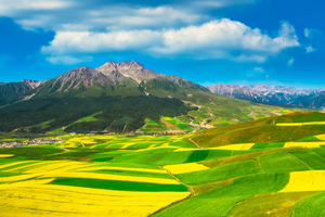 【走进祁连山】乌鞘岭-祁连山生态秘境-柴尔龙海-冰沟河-八宝河谷-汉明长城遗址-山丹军马场6日徒步探险之旅！