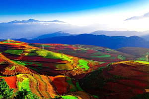 【滇东南全景】元阳梯田-罗平油菜花-蚁工坊-佛印莲花岛-碧色寨-桃源坝美-普者黑-东风韵-抚仙湖-东川红土地-元谋土林9