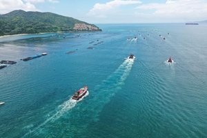 成团，8月30日开海福利来袭 大鹏游艇观光+出海捕鱼 海鲜大餐高端一日游