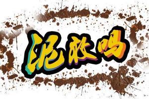 2018年第四届全季·全体育系列全民健身活动 “炫跑”之泥巴大赛