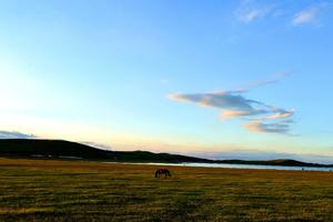 【赛事报名】沽源•天鹅湖草原湿地半程马拉松——旅游、跑马、看世界杯决赛