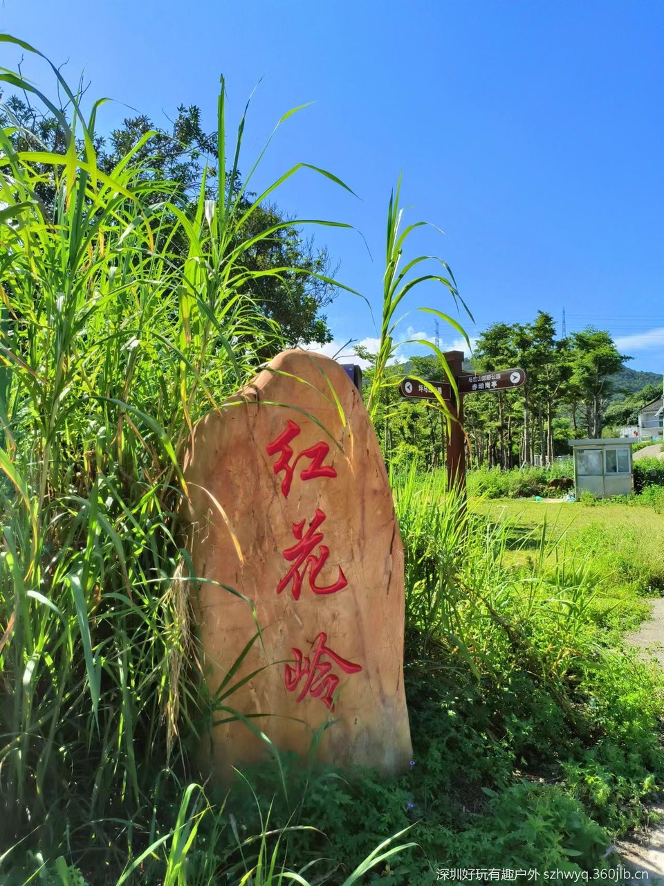 AVAdsdJDX_zD1wLbimTuDgWbPmW1KKvdoSjT38Z9Z89GOy4OStNabEf3IQSiho-0