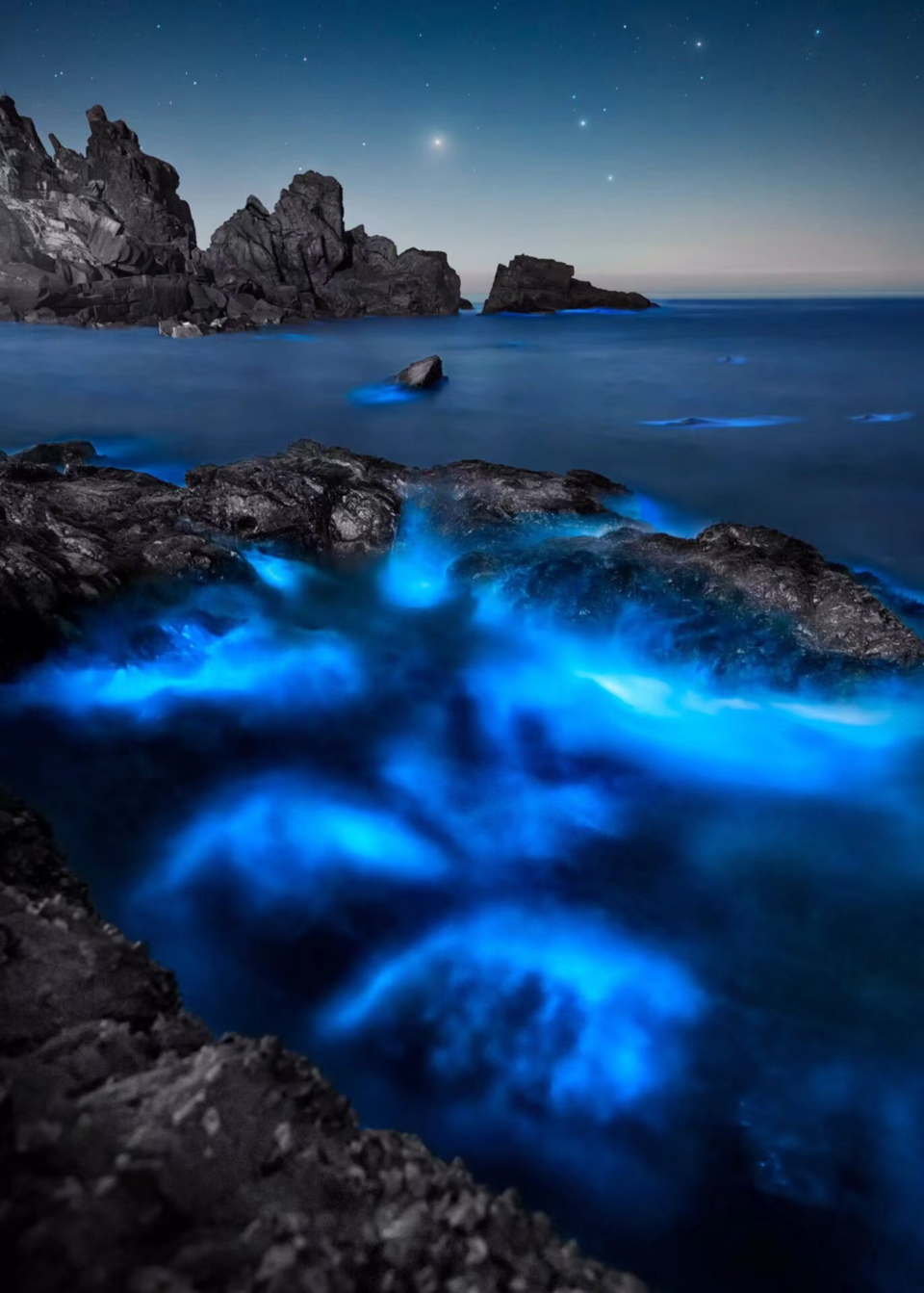 微信图片_20250416001443