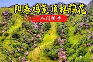 188起4.4晚-4.5夜登阳春【鸡笼顶】粤西大草原鸡笼顶｜看绝美杜鹃花开｜邂逅日出云海